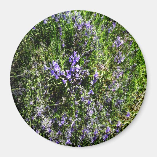 Aimant Loving Lavender..... (Devant)