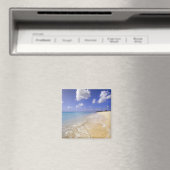 Aimant Low Bay Beach, Barbuda, Antigua (In Situ (Lave-vaisselle))