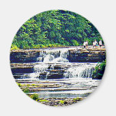 Aimant Lower Tahquamenon Falls State Park, Michigan (Devant)