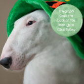 Aimant Luck of the Irish