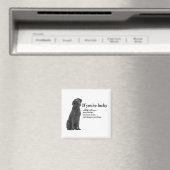 Aimant Lucky Black Lab (In Situ (Lave-vaisselle))