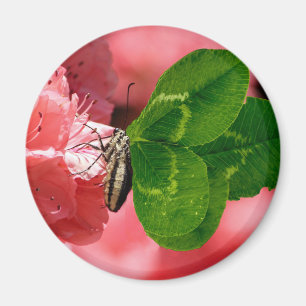 Aimant Lucky Butterfly