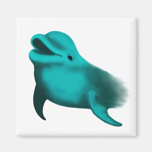 Aimant Lucky Dolphin (Devant)