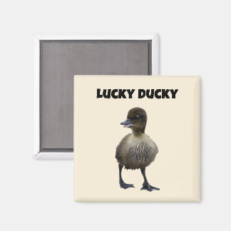 Aimant Lucky Duck Funny Cute Duckling Oiseau Photo Art