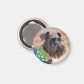 Aimant Lucky Miniature Schnauzer (Recto/Verso)