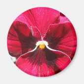 Aimant Lucrezia (Devant)