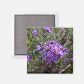 Aimant Lueur violette de l'automne (Recto/Verso)