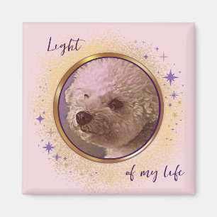 Aimant Lumière de Ma Vie