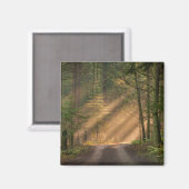 Aimant Lumière du soleil à travers la forêt (Recto/Verso)