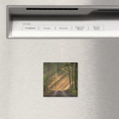 Aimant Lumière du soleil à travers la forêt (In Situ (Lave-vaisselle))
