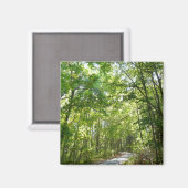 Aimant Lumière du soleil sur le chemin en bois au Centenn (Recto/Verso)