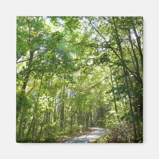 Aimant Lumière du soleil sur le chemin en bois au Centenn (Devant)