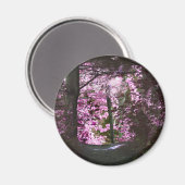 Aimant Lumière sur l'aimant de nature de chemin (Recto/Verso)