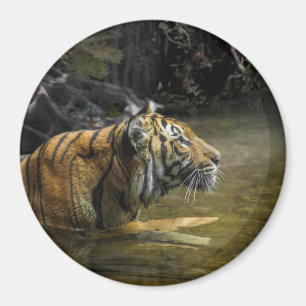 Aimant LUMIÈRE Tigre DE Sumatra