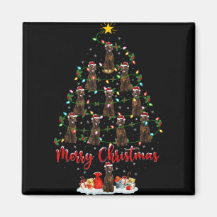 Aimant Lumières de Noël Père Noël Setter Irlandais Chien