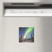 Aimant Lumières du Nord | Parc national de Denali (In Situ (Lave-vaisselle))