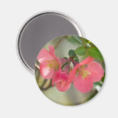 Aimant Luminosité de coing rose (Recto/Verso)