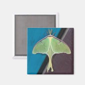 Aimant Luna Moth (Recto/Verso)