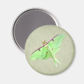Aimant Luna Moth (Recto/Verso)