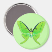 Aimant Luna moth sur un arrière - plan vert pâle (Recto/Verso)