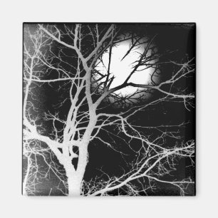 Aimant Lune