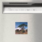 Aimant lune africaine (In Situ (Lave-vaisselle))