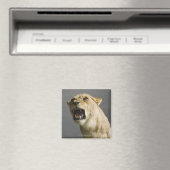 Aimant Lune rugissant (In Situ (Lave-vaisselle))