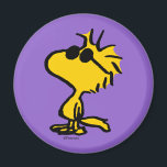 Aimant Lunettes de soleil Cool Woodstock<br><div class="desc">Jetez un oeil à ce design super mignon avec des lunettes de soleil cool Woodstock.</div>