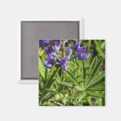 Aimant Lupine argenté (Recto/Verso)
