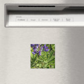 Aimant Lupine argenté (In Situ (Lave-vaisselle))
