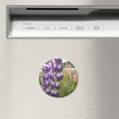 Aimant Lupins pourpres (In Situ (Lave-vaisselle))