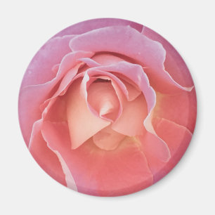Aimant Luscious Pink Rose