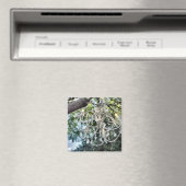 Aimant Lustre Chic en cristal blanc (In Situ (Lave-vaisselle))