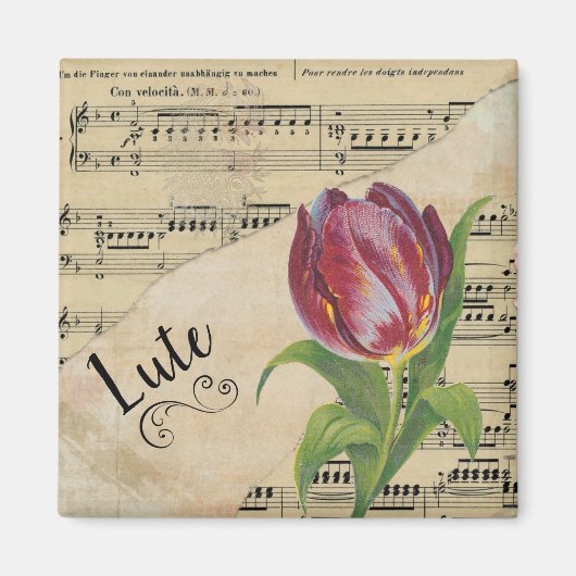 Aimant Lute Elegant Tulip Partition Vintage (Devant)