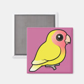 Aimant Lutino Peach face Lovebird (Recto/Verso)