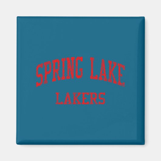 Aimant Lycée Spring Lake High School Spring Lake Mi vinta (Devant)