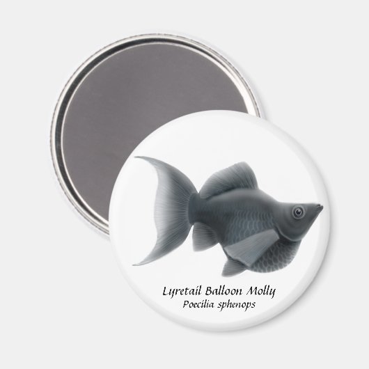 Aimant Lydétaillon Balloon Molly (Recto/Verso)