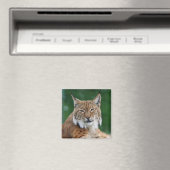 Aimant Lynx / Chat sauvage (In Situ (Lave-vaisselle))