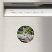 Aimant Lynx Kitten de Sibérie (In Situ (Lave-vaisselle))