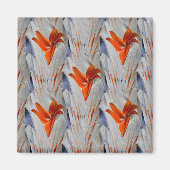 Aimant Lys....... (Devant)