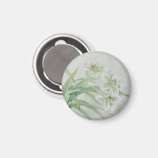 Aimant Lys blancs (Recto/Verso)