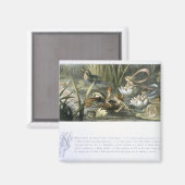 Aimant Lys d'eau et fées d'eau, illustration de (Recto/Verso)