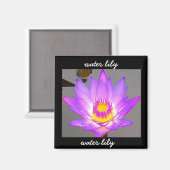 Aimant Lys d'eau violet - Frontière (Recto/Verso)