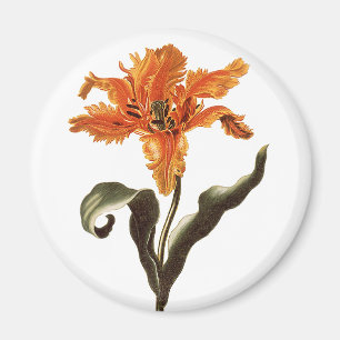 Aimant Lys orangé fantaisie vintage en fleurs, fleurs de