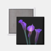 Aimant Lys pourpres (Recto/Verso)