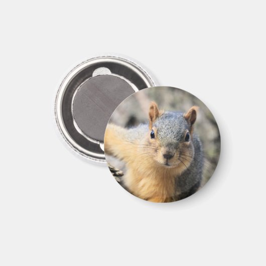 Aimant M. Cutie (Recto/Verso)