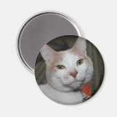 Aimant M. Peabody ! (Recto/Verso)