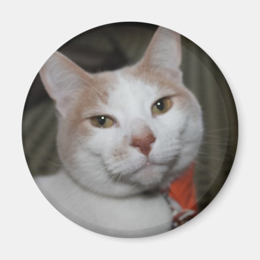 Aimant M. Peabody ! (Devant)