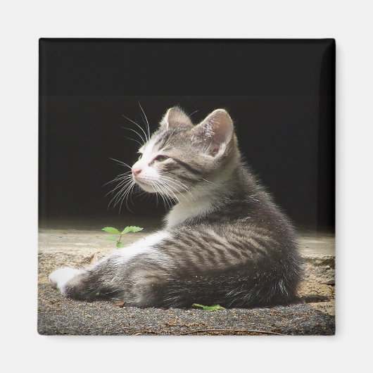 Aimant Ma montre (Devant)