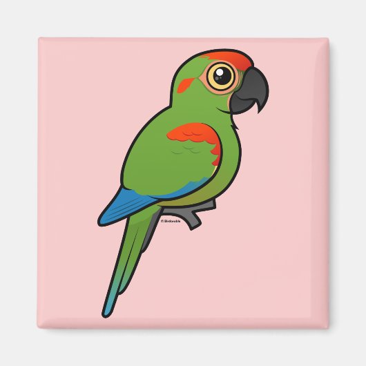 Aimant Macaw à tête rouge (Devant)